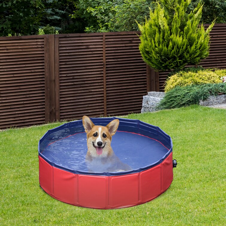 Indoor dog hot sale bath tub